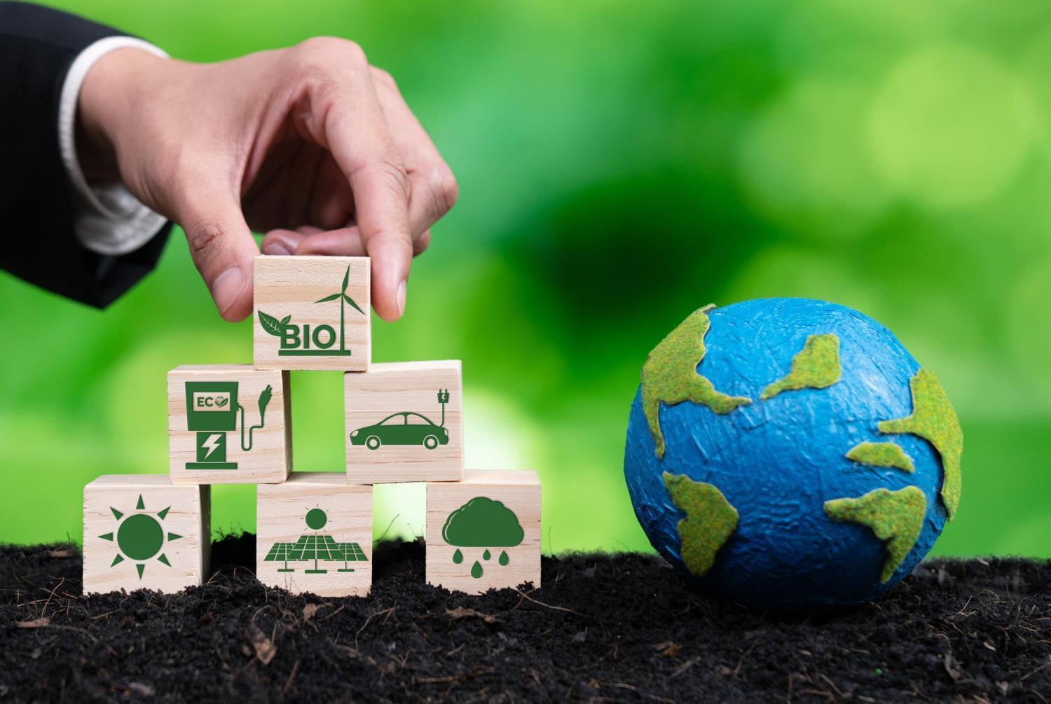 Role of sustainability in supply chains: strategies to minimize wastage